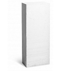 BIKTON PLATTE 625*100*200/D500 (120 шт.)